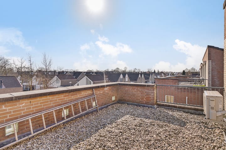 Foto 32 van Buizerd 122