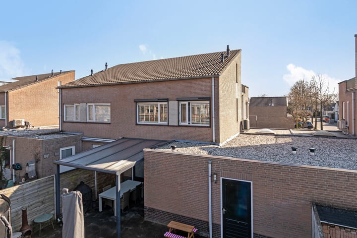 Foto 38 van Buizerd 122