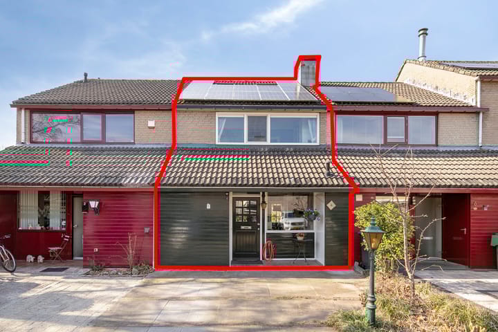 Foto 5 van Dagvlinder 4