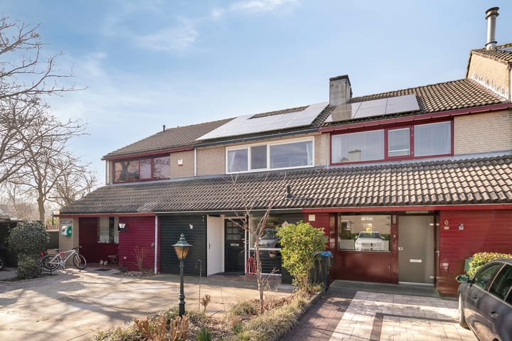 Foto 7 van Dagvlinder 4