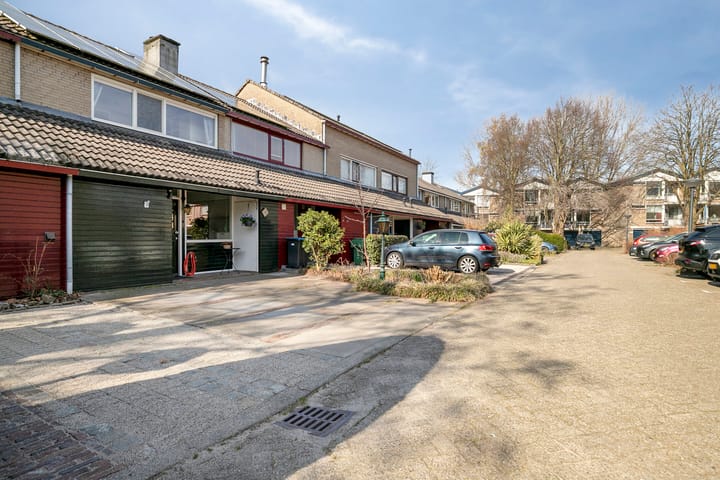 Foto 8 van Dagvlinder 4