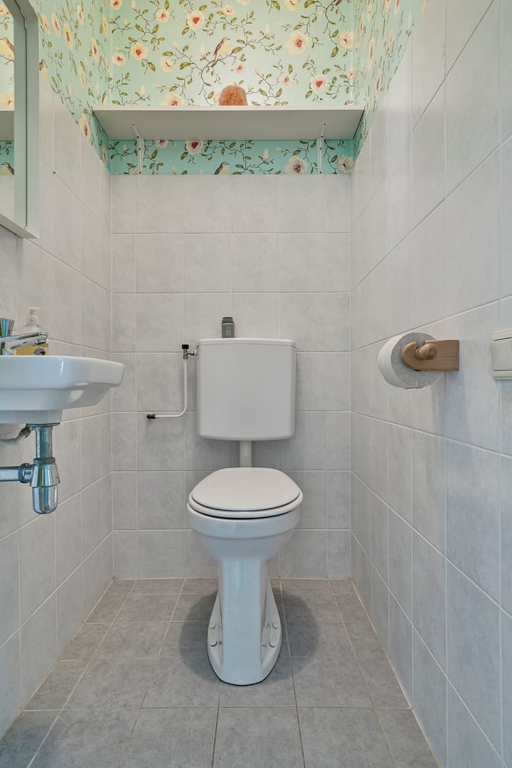 Foto 10 van Dagvlinder 4