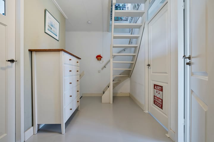 Foto 18 van Dagvlinder 4