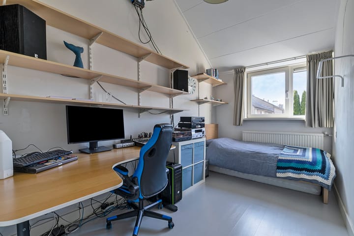 Foto 24 van Dagvlinder 4