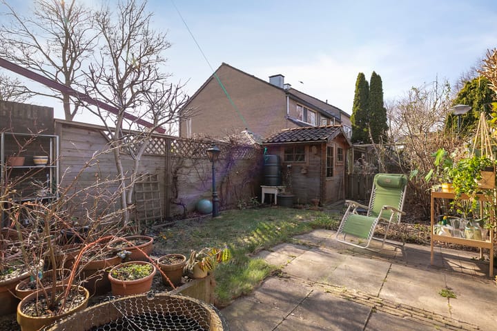 Foto 29 van Dagvlinder 4