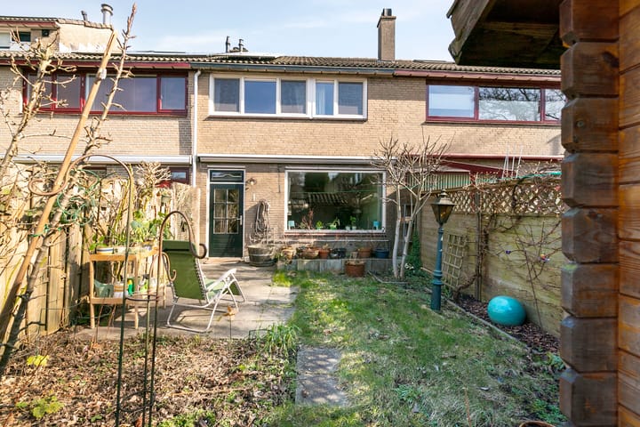 Foto 30 van Dagvlinder 4