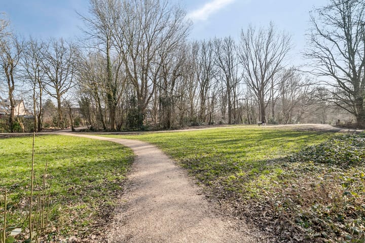 Foto 32 van Dagvlinder 4