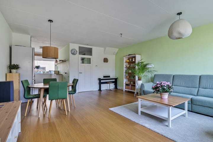 Foto 2 van Dagvlinder 4