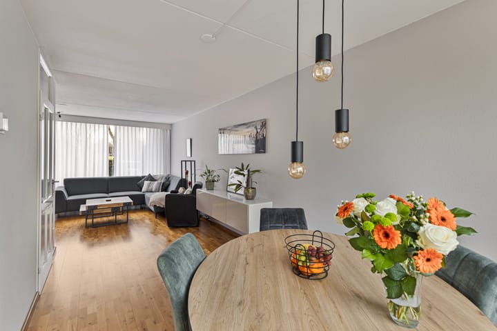 Foto 2 van Drachmenruwe 27