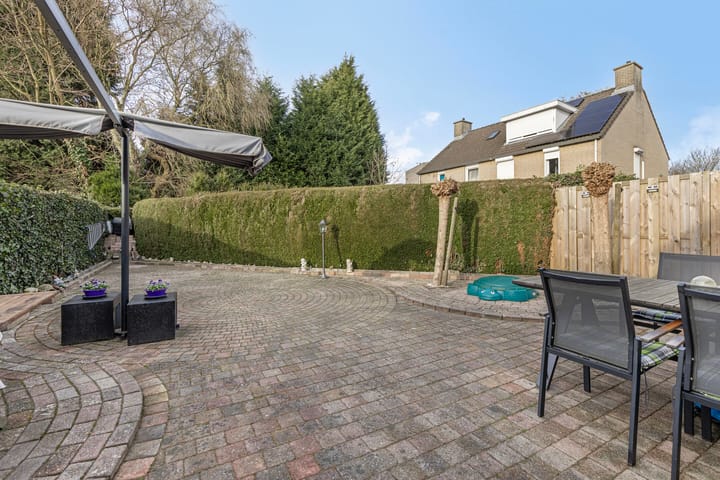 Foto 26 van Drachmenruwe 27