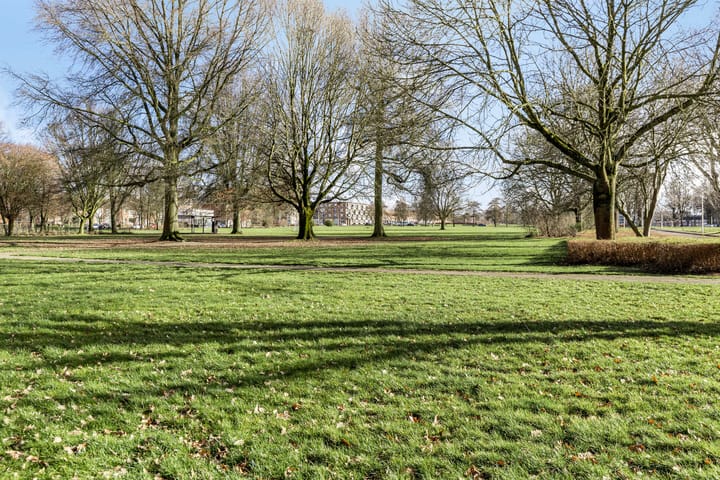 Foto 30 van Drachmenruwe 27