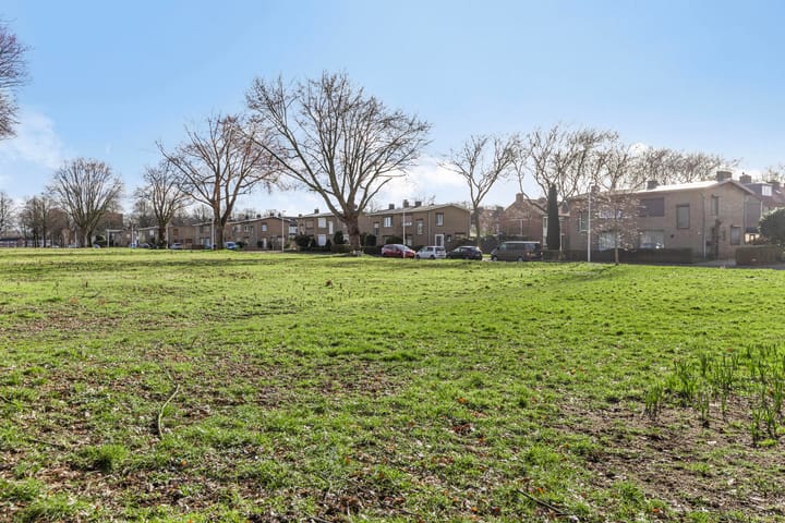 Foto 31 van Drachmenruwe 27