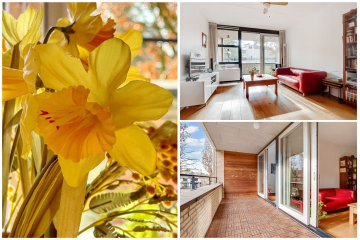 Foto 2 van Fornheselaan 2-B