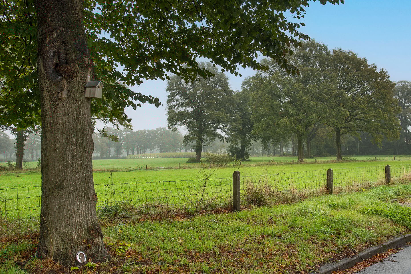 Foto 35 van Camphuysenstraat 54