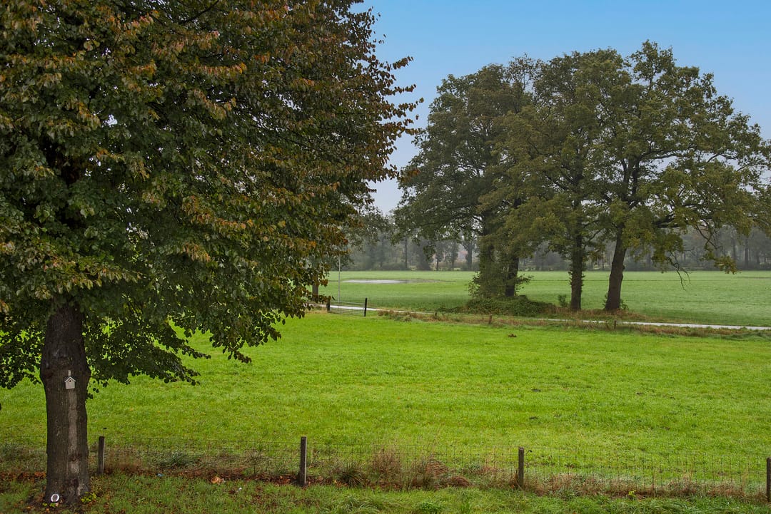 Foto 37 van Camphuysenstraat 54