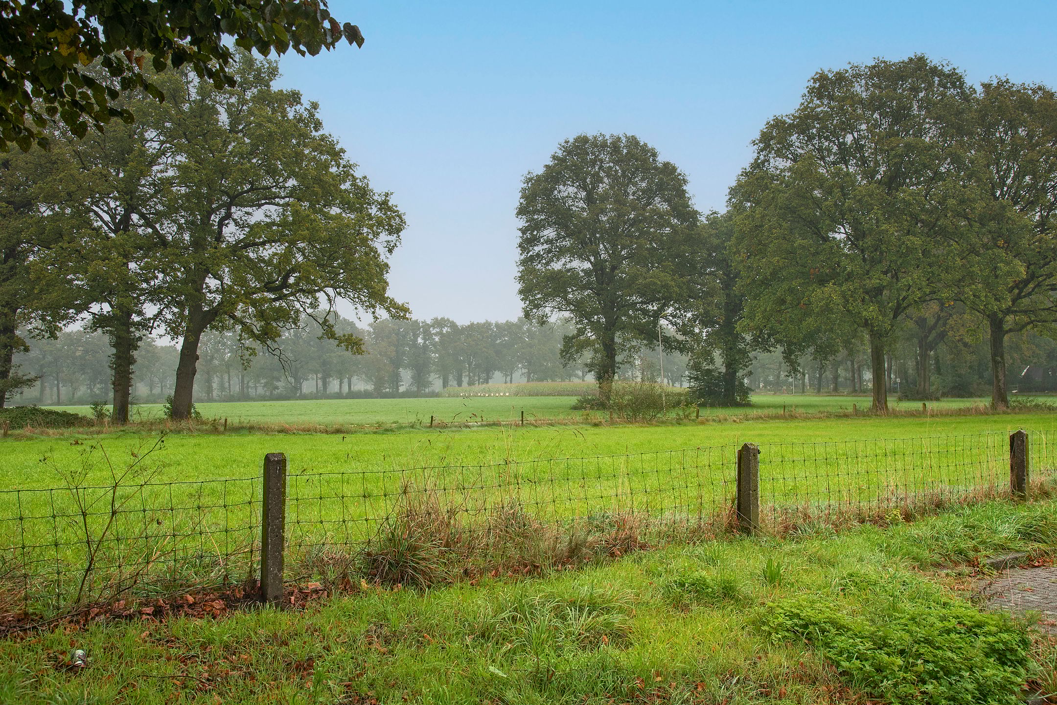 Foto 36 van Camphuysenstraat 54