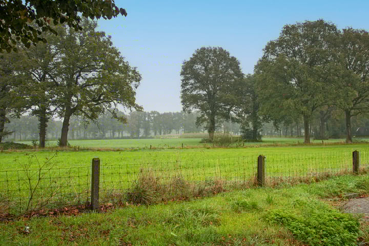 Foto 36 van Camphuysenstraat 54