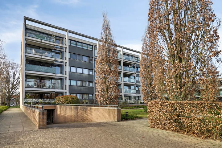 Foto 2 van Treubstraat 89