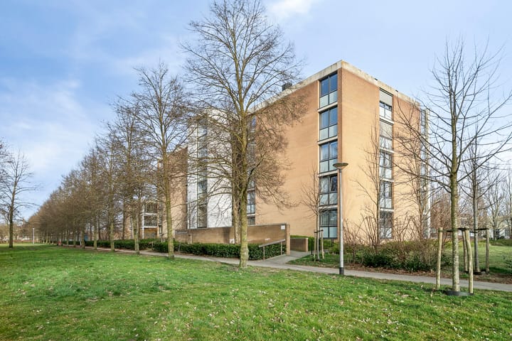 Foto 4 van Treubstraat 89