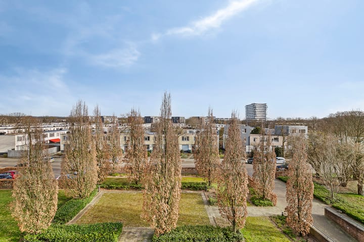 Foto 32 van Treubstraat 89