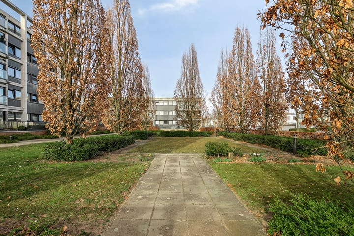 Foto 35 van Treubstraat 89