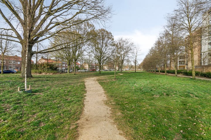 Foto 36 van Treubstraat 89