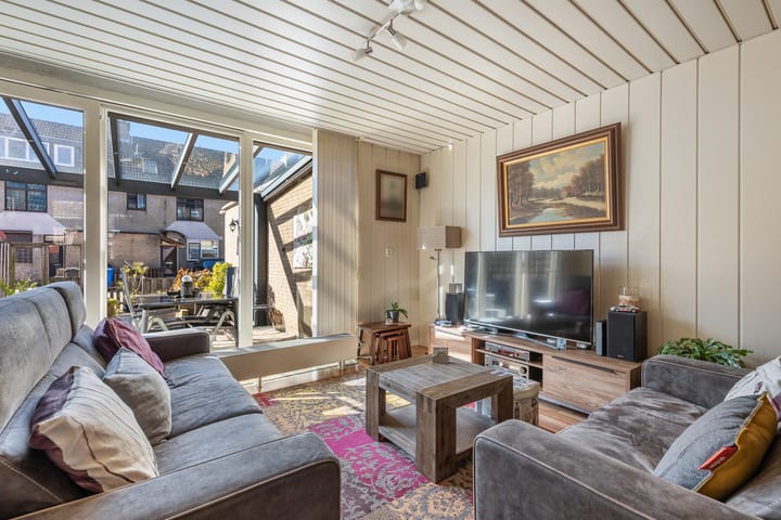 Foto 2 van Plevier 7