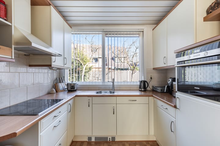 Foto 3 van Plevier 7