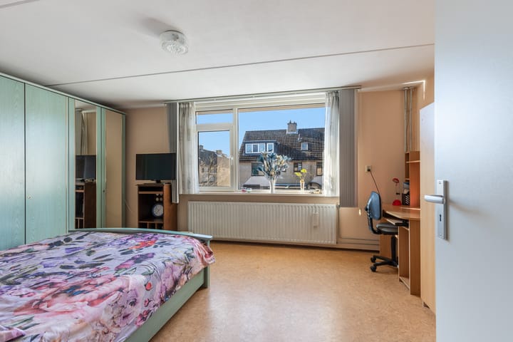 Foto 4 van Plevier 7