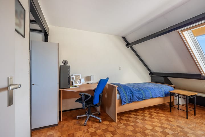 Foto 6 van Plevier 7