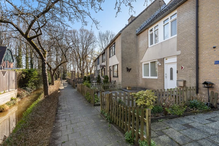 Foto 8 van Plevier 7