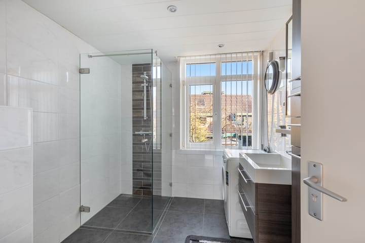 Foto 29 van Plevier 7