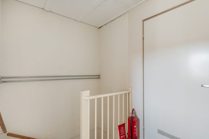 Foto 32 van Plevier 7