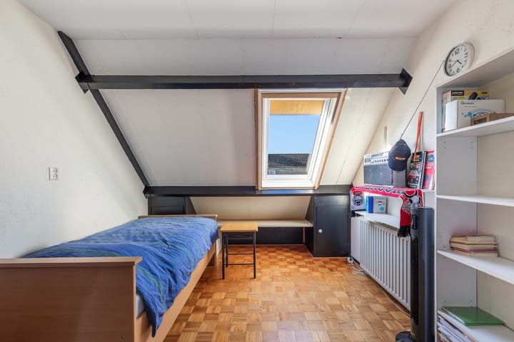 Foto 34 van Plevier 7