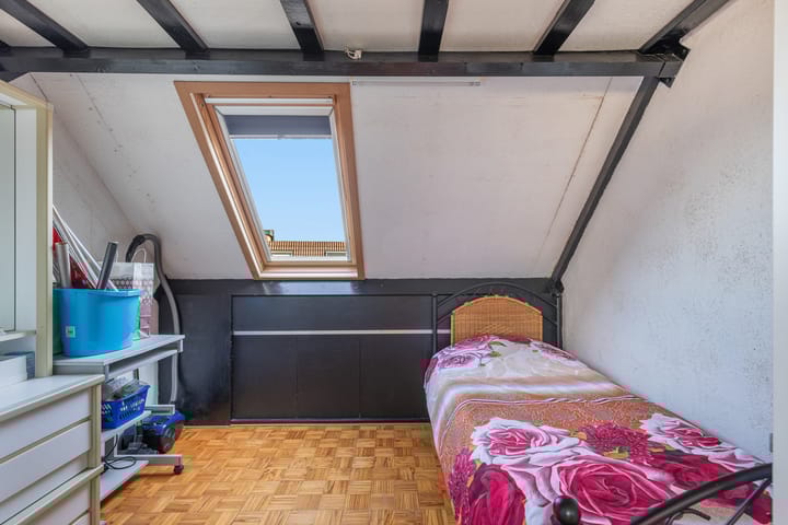 Foto 37 van Plevier 7