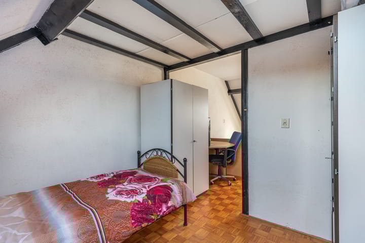 Foto 38 van Plevier 7