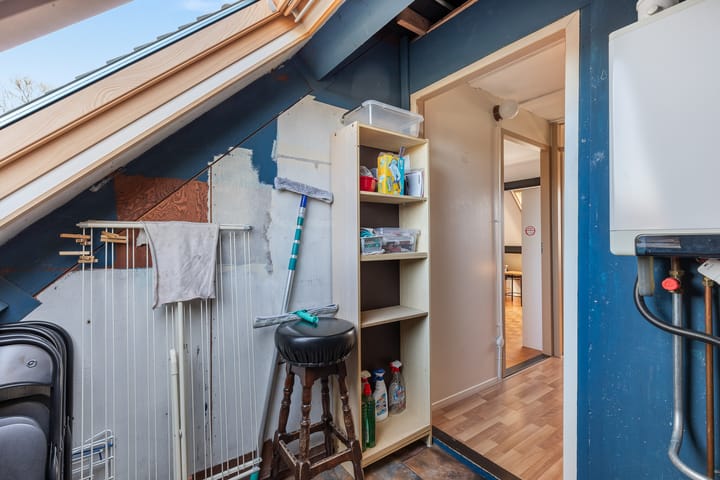 Foto 40 van Plevier 7