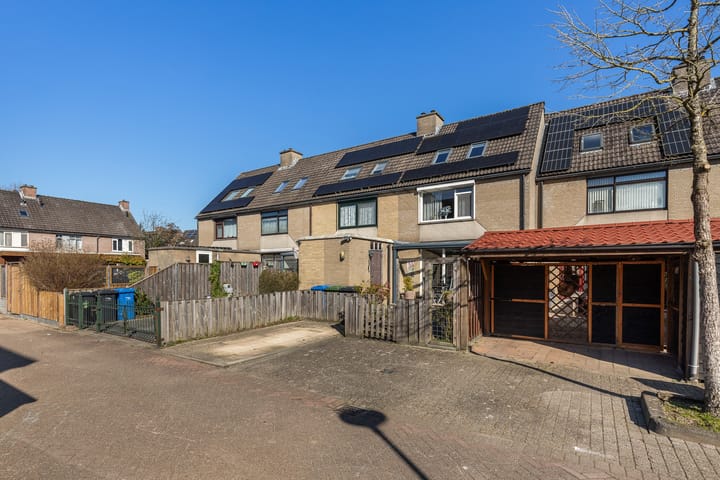 Foto 47 van Plevier 7