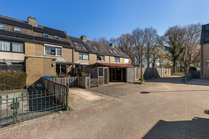 Foto 46 van Plevier 7