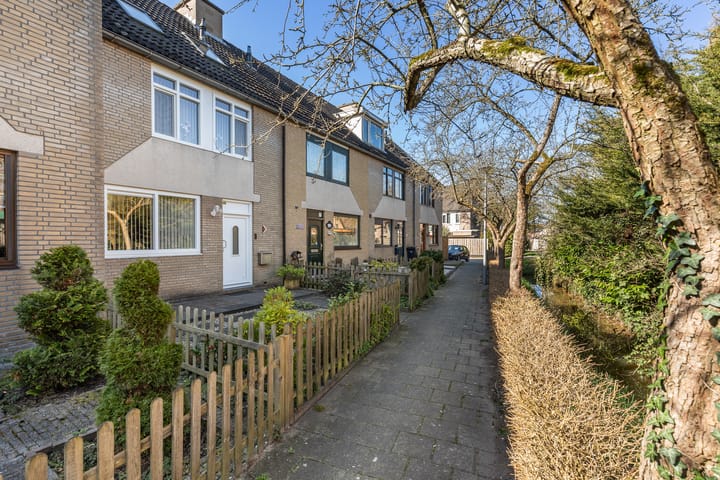 Foto 48 van Plevier 7