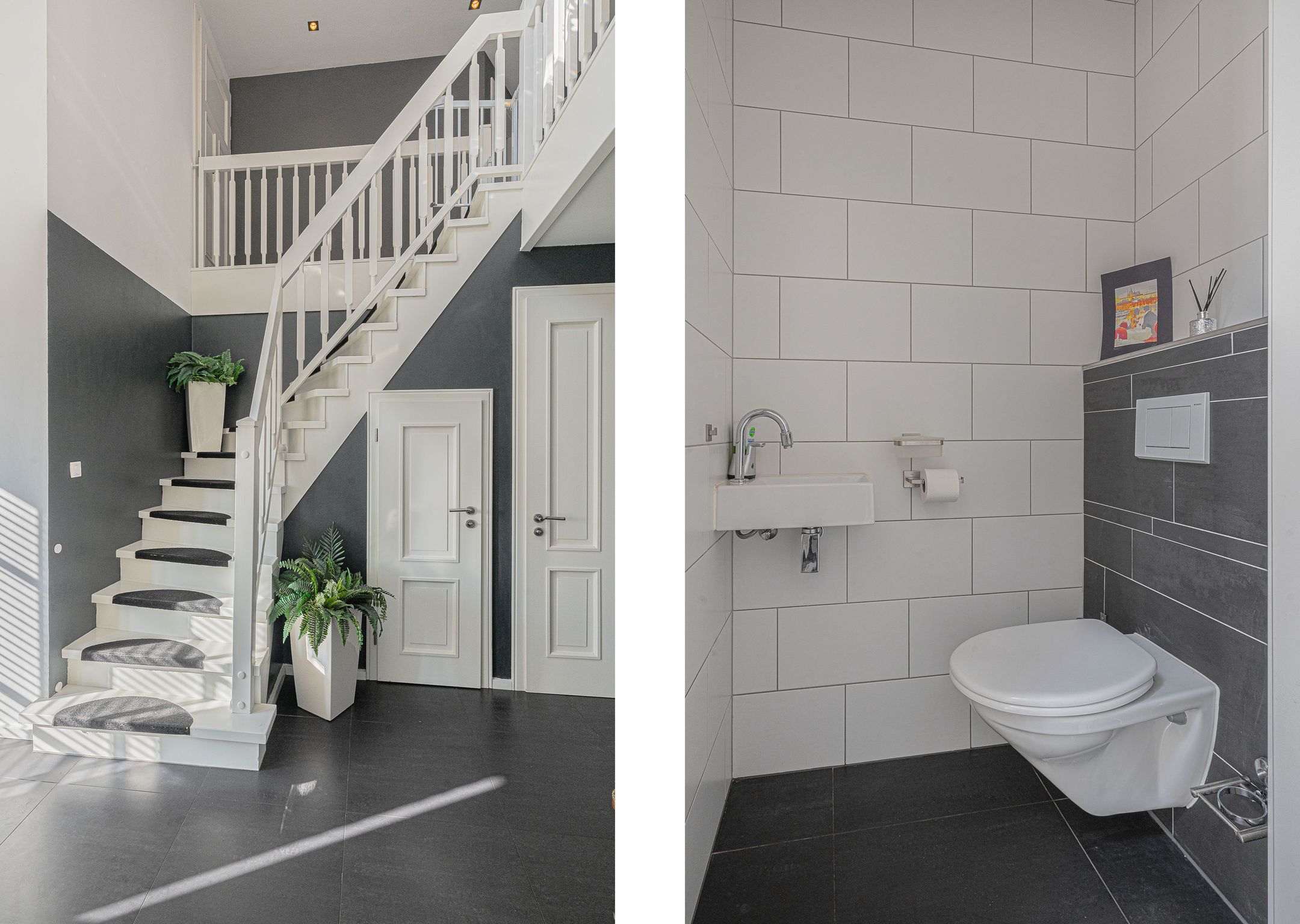 Foto 36 van Meerkoet 1