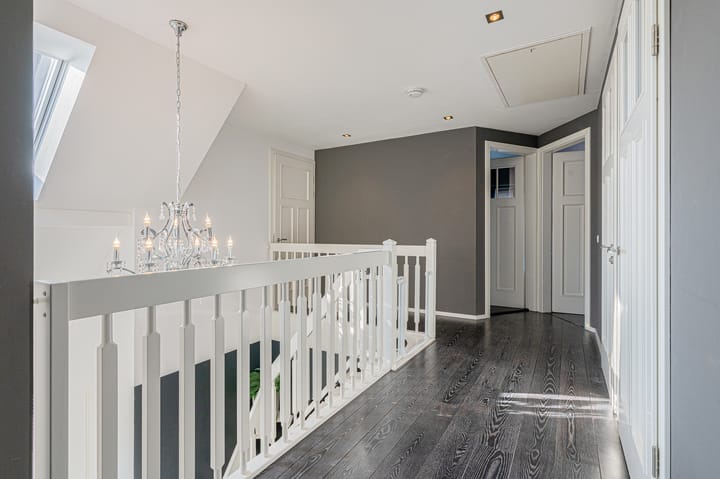 Foto 37 van Meerkoet 1