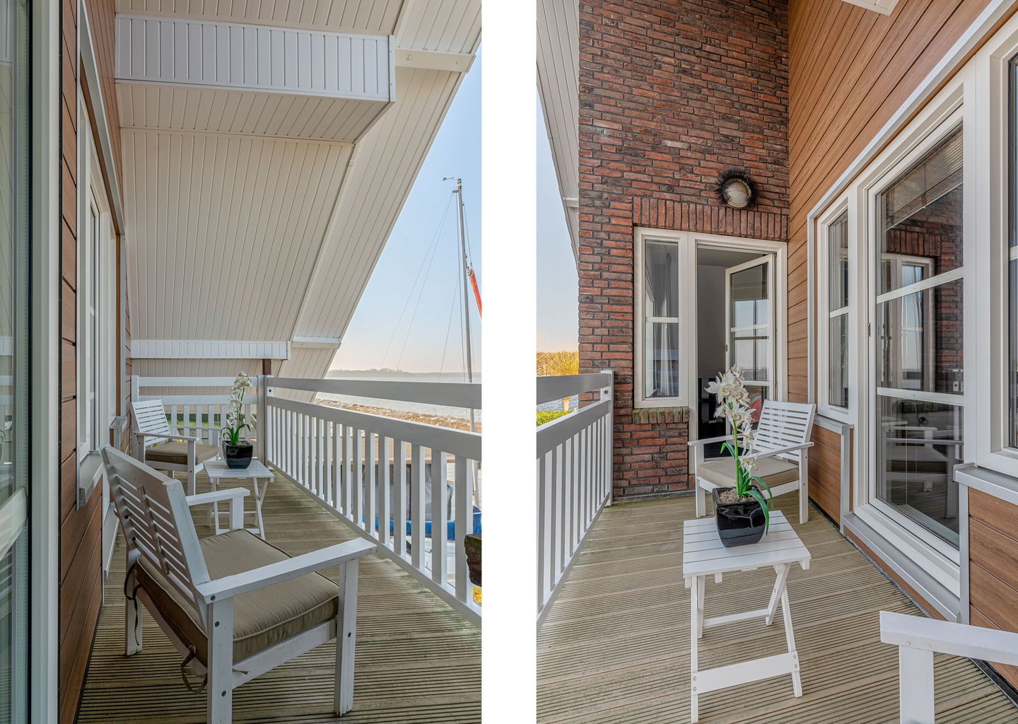 Foto 40 van Meerkoet 1