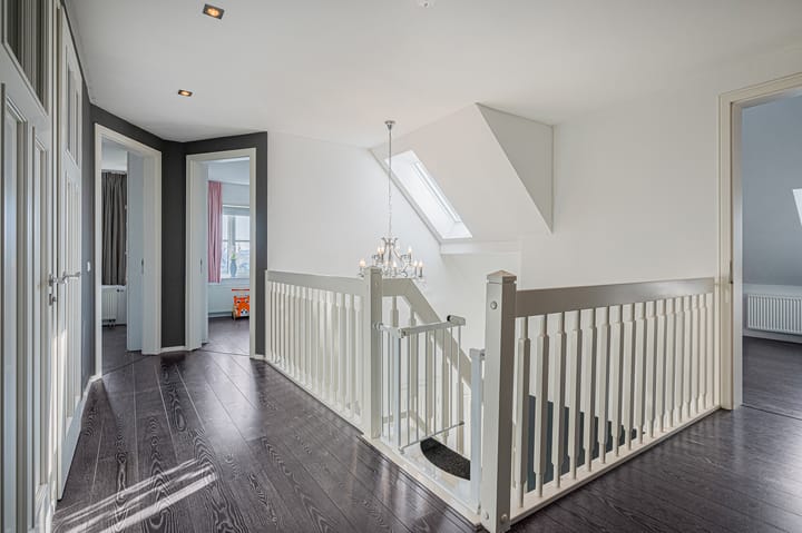 Foto 49 van Meerkoet 1