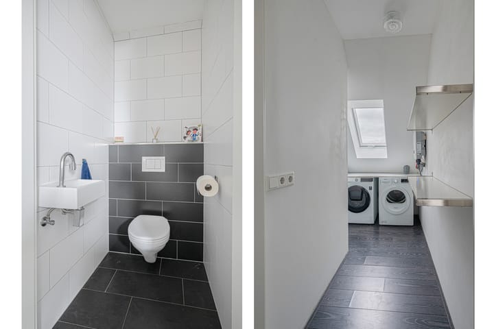 Foto 54 van Meerkoet 1