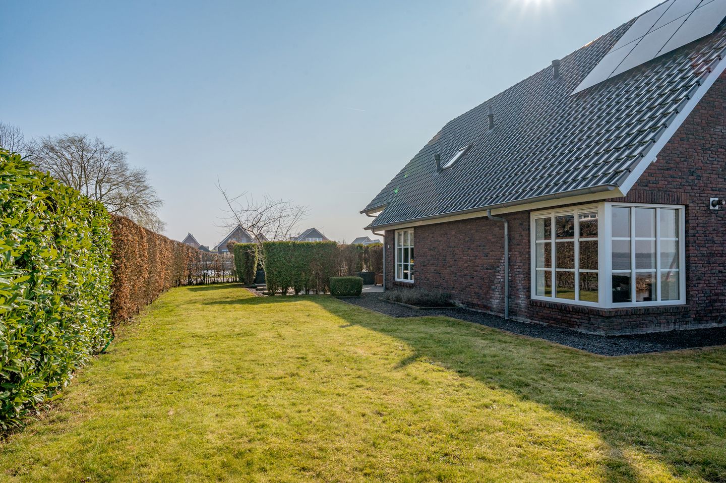 Foto 55 van Meerkoet 1