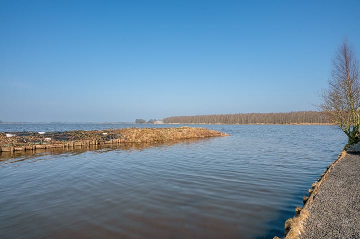 Foto 65 van Meerkoet 1