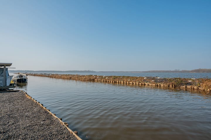 Foto 66 van Meerkoet 1