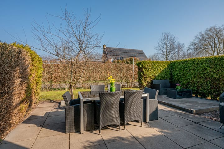 Foto 72 van Meerkoet 1