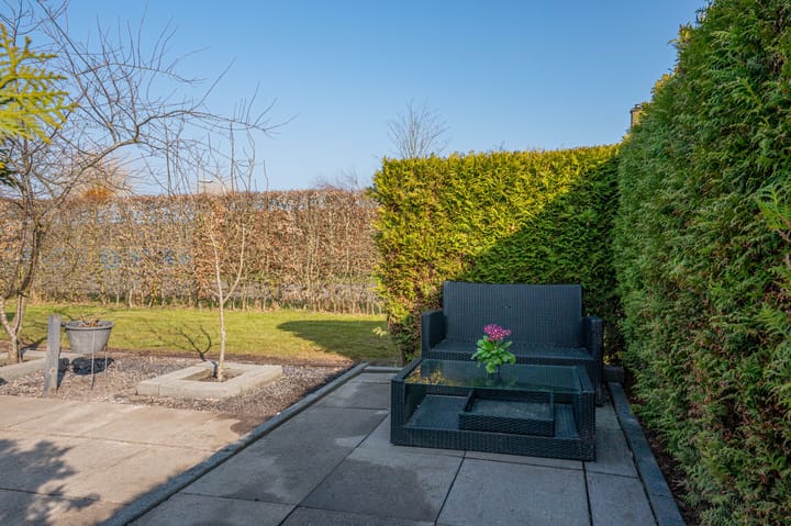 Foto 73 van Meerkoet 1